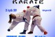 Karate. Campania Cup. Opes Salerno